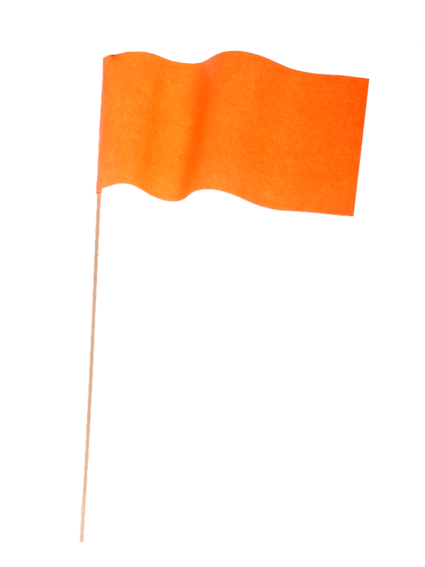 10 oranje papieren zwaaivlaggetjes