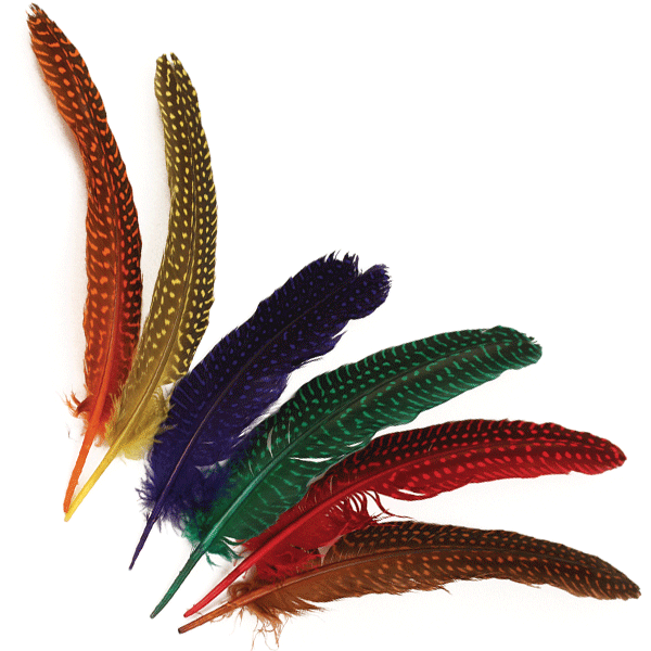 12 pieces feathers with dots 