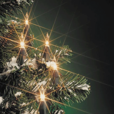 Kerstverlichting helder buiten 160 lampjes 19 meter