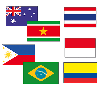 Tropisch vlaggen pakket