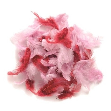 10 gr decoration feathers pink shades