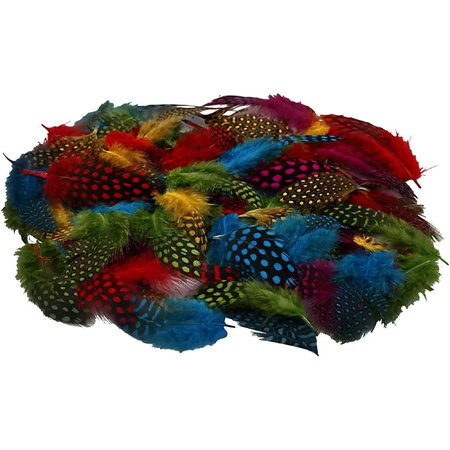 100x Colored guinea fowl feathers