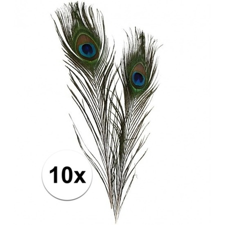 10 Pieces peacock feathers 