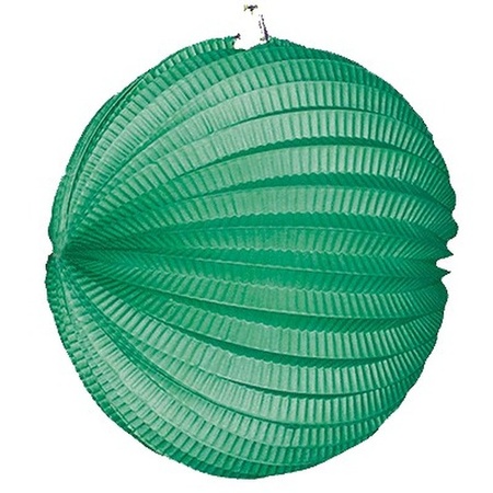 10x Lampionnen groen 22 cm