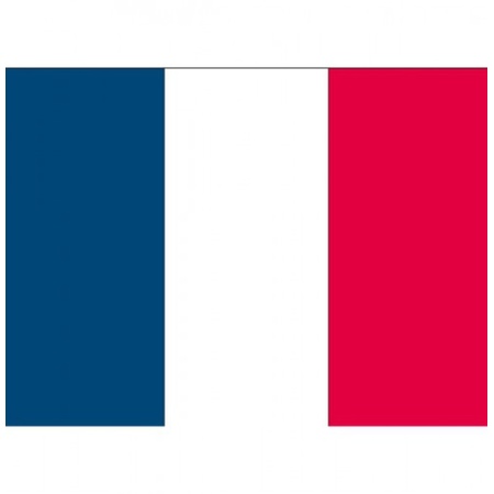 10x stuks Vlag Frankrijk stickers