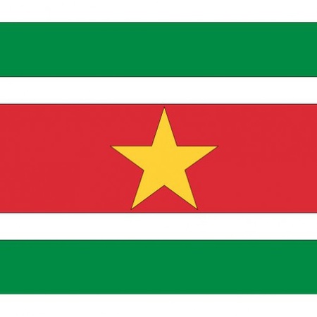 10x Vlag Suriname stickers 10 cm