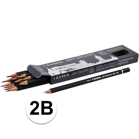 12 professional pencils hardness 2B