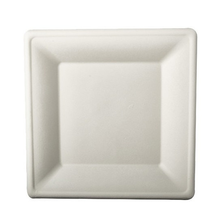 12x White square sugar cane lunch plates 26 cm biodegradable