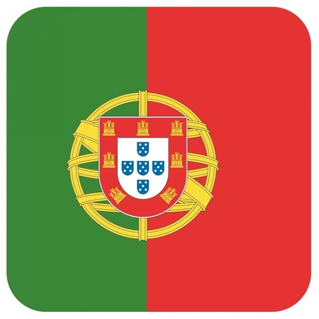 15x Bierviltjes Portugese vlag vierkant