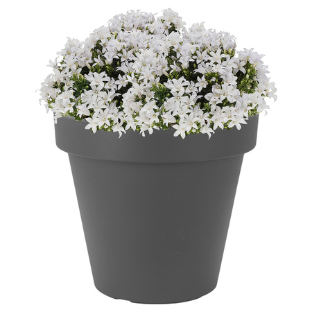 1x Anthracite grey flowerpot 25 cm
