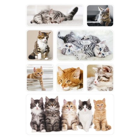 24x Poezen/katten/kittens dieren stickers 