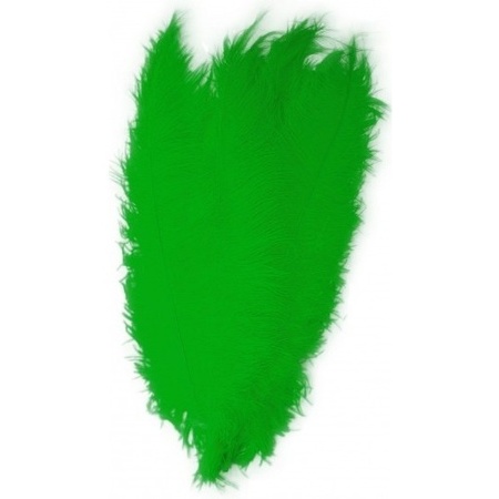 2x Grote decoratie veren/struisvogelveren groen 50 cm
