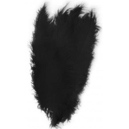 2x Grote decoratie veren/struisvogelveren zwart 50 cm