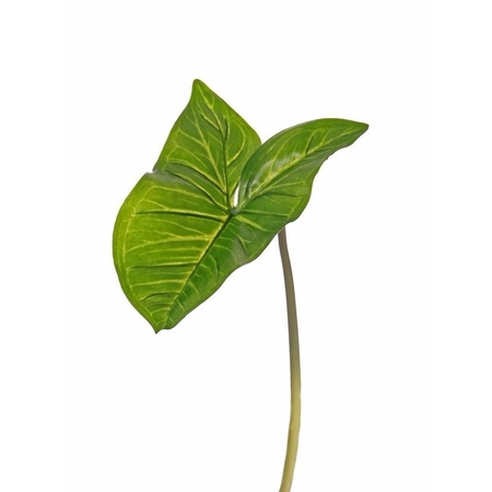 2x Art Syngonium leafs green 53 cm