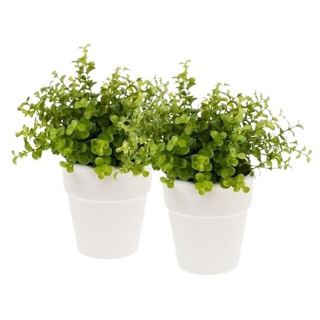 2x Kunstplant eucalyptus groen in witte pot 22 cm 