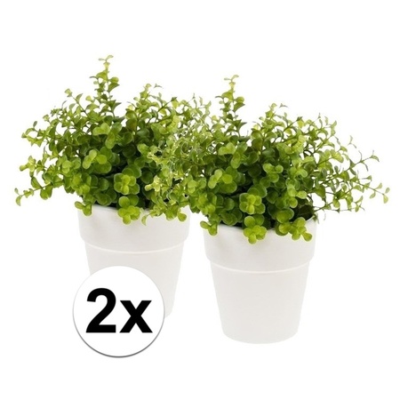 2x Kunstplant eucalyptus groen in witte pot 22 cm 