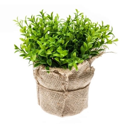 2x Kunstplanten tuinkers kruiden groen in jute pot 16 cm 