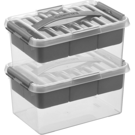 2x Storage boxes with tray 6 liters  30 x 20 x 14 cm plastic