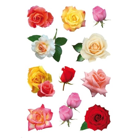 33x Gekleurde rozen bloemen stickers