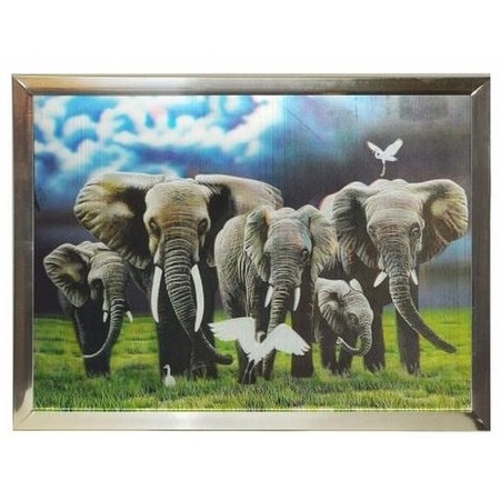 3D elephant poster in silver frame
