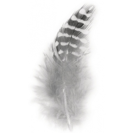 40x Decoration feathers