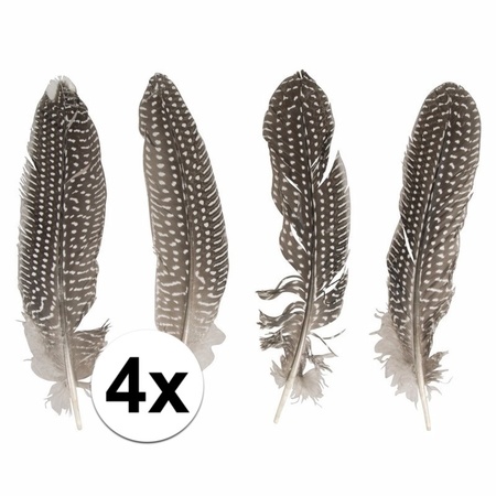 4x pieces Pheasant feathers