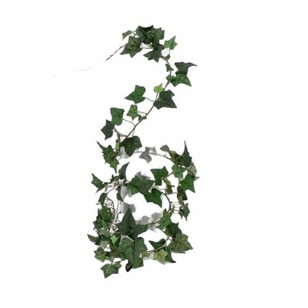 5 Ivy garlands Hedera Helix 180 cm