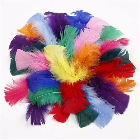 50 gram gekleurde decoratie veren