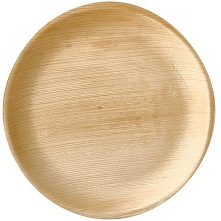 50x Duurzame biologisch afbreekbare borden palmblad 25 cm