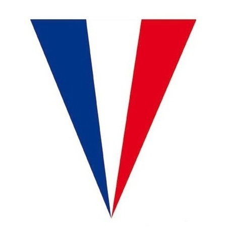 5x Frankrijk vlaggenlijnen 5 meter