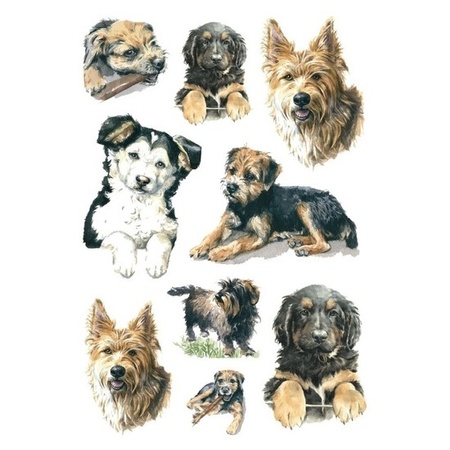 81x Honden/puppy dieren stickers 