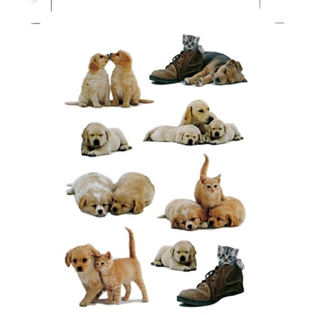 81x Honden/puppy en katten/poezen dieren stickers 