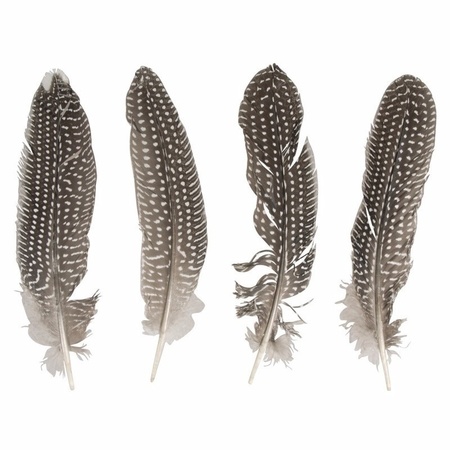 8 pieces Pheasant feathers