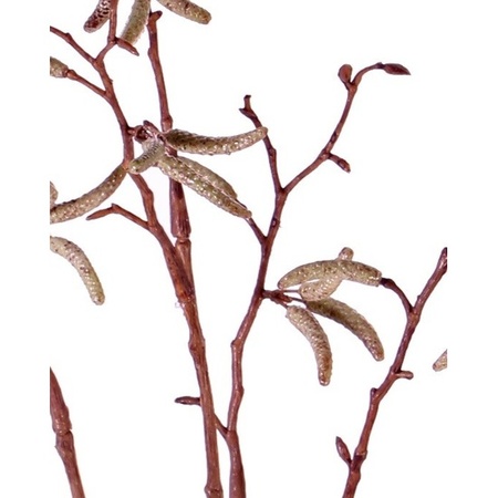 8x stuks bruine Betula pendula/berkenkatjes kunsttakken 66 cm