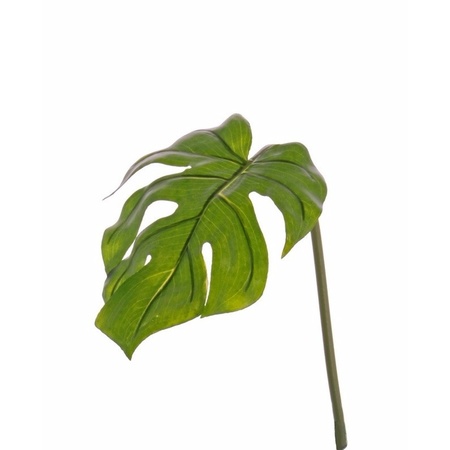 8x Monstera leaf spray 55 cm green