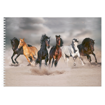 A4 paarden schetsboek/ tekenboek/ kleurboek/ schetsblok wit papier 