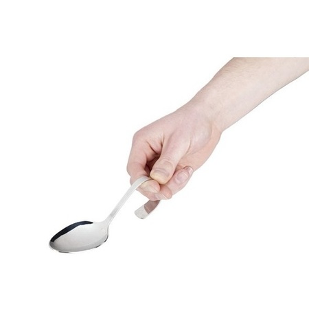 Amuse spoon 4 pieces 13 cm