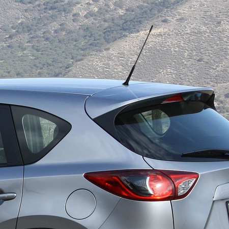 Car antenna with M5 and M6 adapter