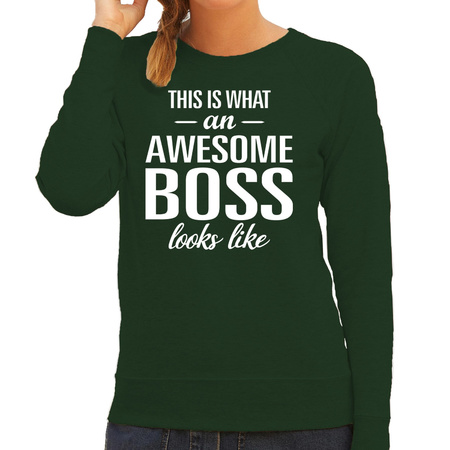 Awesome boss cadeau sweater green for women