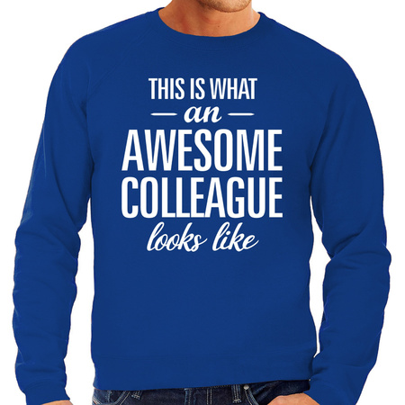Awesome Colleague sweater blue for men