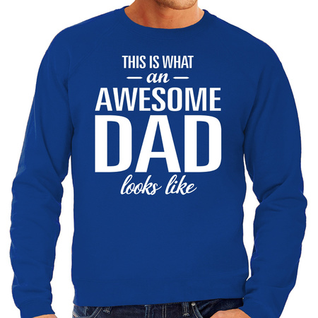 Awesome Dad sweater blue for men