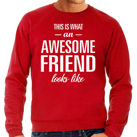 Awesome friend / vriend cadeau sweater rood heren