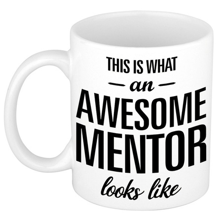 Awesome mentor mug 300 ml