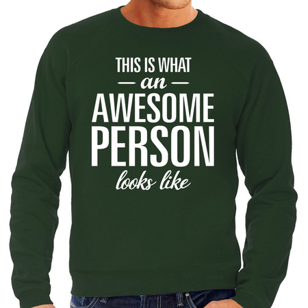 Awesome Person sweater green for men