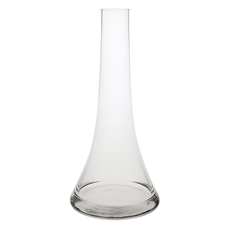 Bellatio Design Smalle vaas helder glas 26cm