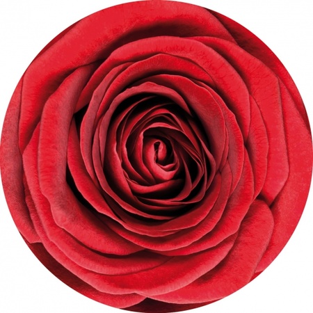 Bierviltjes onderzetters rode roos/rozen 10x stuks