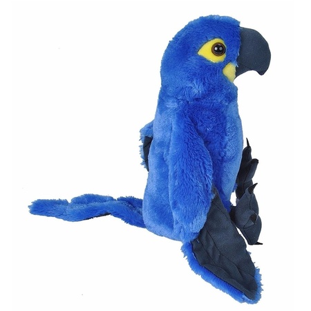 Parrot blue/purple 30 cm