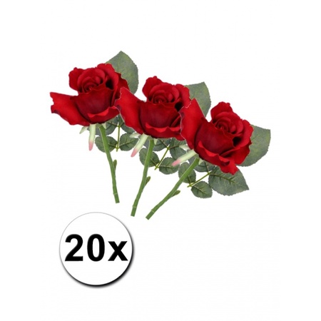20 red roses 30 cm