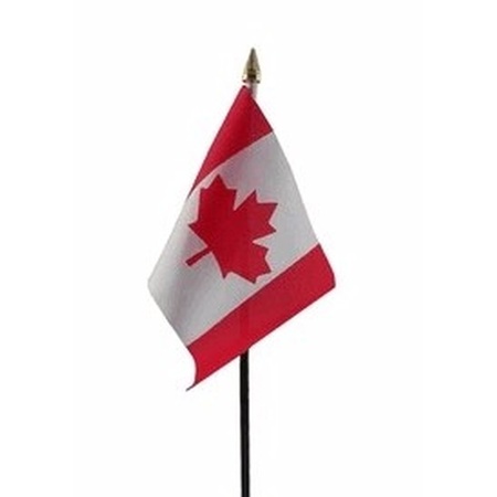 Canada mini vlaggetje op stok 10 x 15 cm