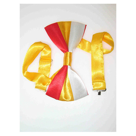 Carnaval Oeteldonk verkleed strikje rood/geel/wit